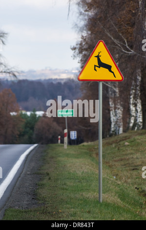 Strada in Polonia con segnale di avvertimento per attraversamento di cervi Foto Stock