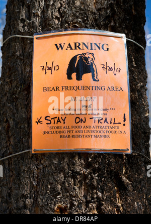 Un orso avviso pubblicato dalla US Forest Service nel Bob Marshall Wilderness del Montana. Stati Uniti d'America Foto Stock