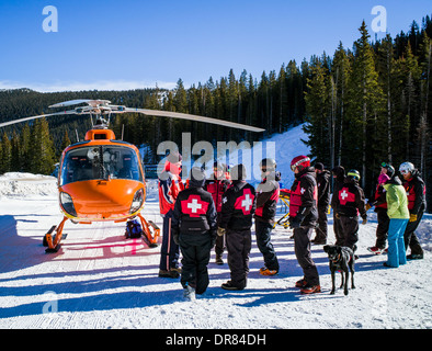 'Volo per la vita' elicottero & medical equipaggio; classe di allenamento con Monarch Nazionale della Montagna di pattuglia di sci & valanga cani di salvataggio Foto Stock