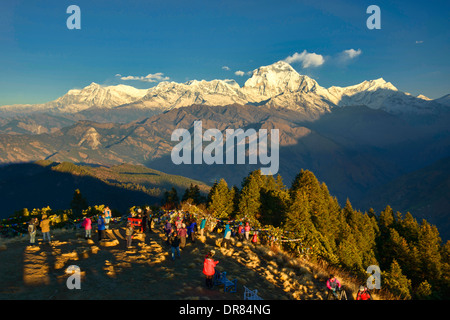 Dhaulagiri (8167 metri) in inizio di mattina di luce visto da Poon Hill nella zona di Annapurna del Nepal Foto Stock
