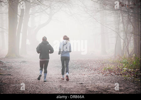 Brentwood, Essex, Regno Unito. 21 gennaio 2014 due ragazze in esecuzione attraverso la fitta nebbia avvolgenti campagna dell'Essex. Fotografo: Gordon Scammell/Alamy Live News Foto Stock