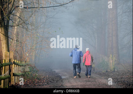 Brentwood, Essex, Regno Unito. 21 gennaio 2014 un paio di prendere il loro esercizio mattutino nonostante la fitta nebbia avvolgenti campagna dell'Essex. Fotografo: Gordon Scammell/Alamy Live News Foto Stock