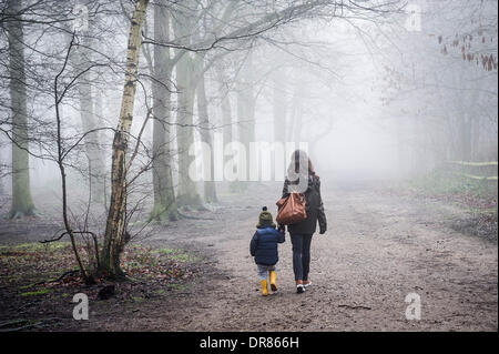 Brentwood, Essex, Regno Unito. 21 gennaio 2014 una madre e suo figlio coraggioso la fitta nebbia e condizioni di congelamento come fare una passeggiata nella campagna dell'Essex. Fotografo: Gordon Scammell/Alamy Live News Foto Stock