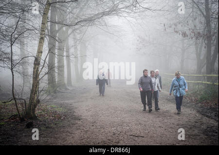 Brentwood, Essex, Regno Unito. 21 gennaio 2014 Nonostante la fitta nebbia e condizioni di congelamento avvolgenti la campagna dell Essex un gruppo di escursionisti che completano il loro percorso. Fotografo: Gordon Scammell/Alamy Live News Foto Stock