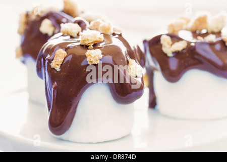 Tradizionale s'more decostruito come marshmallows immersi nel cioccolato al latte e guarnita con sbriciolato graham cracker Foto Stock