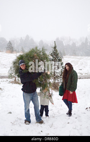 Famiglia giovane con le loro Fresh cut albero di Natale su un tagliato Christmas Tree Farm nel sud indiana Foto Stock