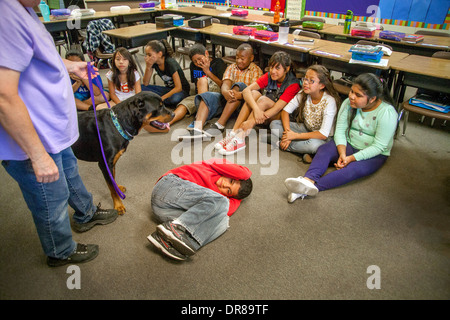 Un prevalentemente ispanica scuola elementare classe in San Bernardino, CA, vengono insegnate pet care con un cane Rottweiler. Foto Stock