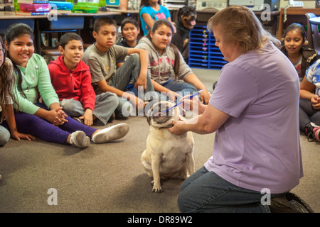 Un prevalentemente ispanica scuola elementare classe in San Bernardino, CA, ottiene una lezione per la cura degli animali da un proprietario come ella spazzole il suo cane chow i denti. Foto Stock