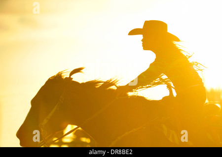 Un vicino l immagine di una femmina di canna racer Foto Stock