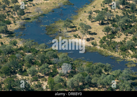 Vedute aeree da Camp Savute Elephant Camp da Orient Express in Botswna in Chobe National Park e Camp Camp Eagle Island Camp Foto Stock