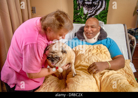 Un senior donna volontario porta un Pug comfort cane per un africano American Hospital paziente nella California del Sud. Modello di rilascio Foto Stock