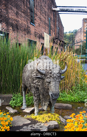 Statua di bronzo di Buffalo a Buffalo Trace Distillery a Francoforte, Kentucky Foto Stock