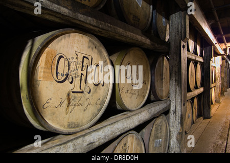 Botti di Bourbon invecchiamento in una casa Rick a Buffalo Trace Distillery a Francoforte, Kentucky Foto Stock