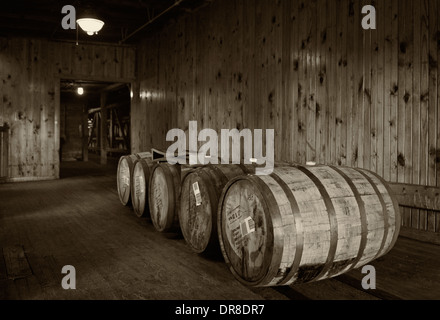 Selezionare botti di Bourbon a Buffalo Trace Distillery a Francoforte, Kentucky Foto Stock