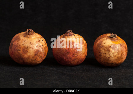 Tre frutti di melograno in una riga con un nero in primo piano e sullo sfondo. Foto Stock