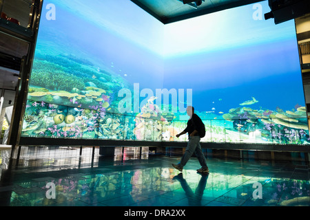 Grande schermo multimediale che mostra virtual reef al centro del cubo a Queensland University of Technology QUT in Brisbane Australia Foto Stock