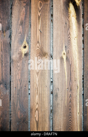 Sfondo di legno, posizionato verticalmente boards Foto Stock