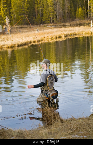 Un pescatore a mosca cast per redside trota arcobaleno su Fall River in Central Oregon Cascades, in gennaio. Foto Stock