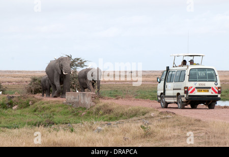 Famiglia di elefante camminando per strada verso il bianco Somak minibus in Amboseli National Park in Kenya Africa orientale Foto Stock