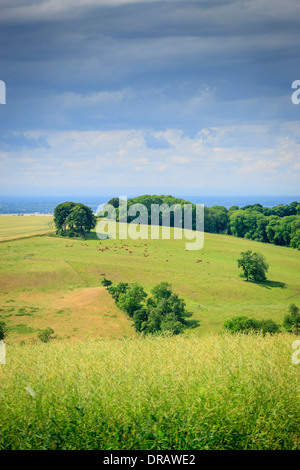 Il Wolds East Riding of Yorkshire Inghilterra Foto Stock