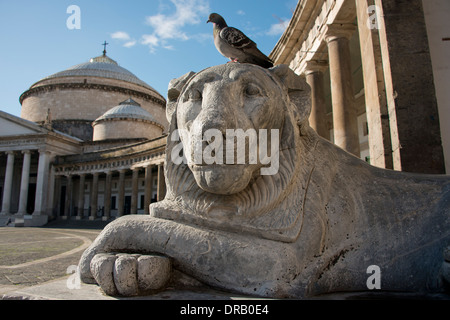 L'Italia, Napoli (Napoli), Plazza Plebiscito. Lion statua che si trova nella parte anteriore della storica chiesa di San Francesco di Paola. Foto Stock