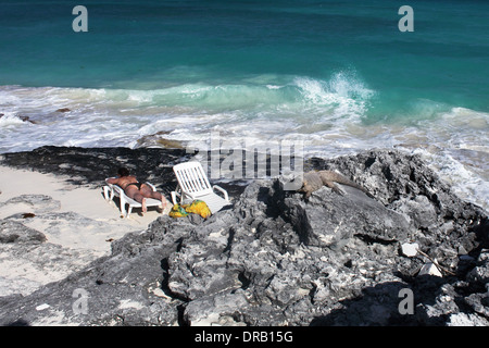 Spiaggia di Cayo Largo, Cuba foto: pixstory / Alamy Foto Stock