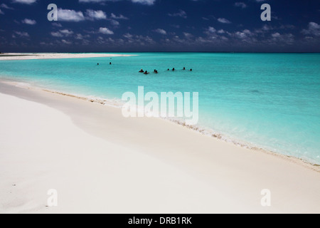 Las Sirenas spiaggia di Cayo Largo, Cuba foto: pixstory / Alamy Foto Stock