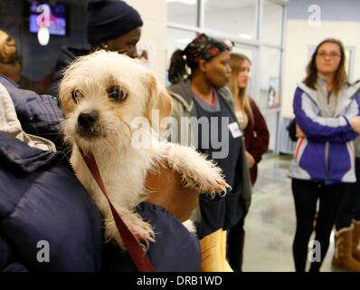 Memphis, Tennessee, Stati Uniti d'America. Il 22 gennaio, 2014. 22 gennaio 2014 - Una meta molto popolare tra i piccoli terrier (sinistra) portato in una folla di mercoledì mattina, al ricovero degli animali. Dieci persone hanno firmato fino ad adottare un cane. Phyllis Stewart ha vinto il cane per il suo figlio Christopher. ''Ho pregato per quel cane per il mio ragazzo'' ha detto. MAS ha approfittato dell'occasione per sfilata alcuni altri molto adottabile cani per i potenziali proprietari. ''Nel dicembre del 2013 per la prima volta abbiamo avuto più animali vivi rilasciato, di noi sono stati eutanizzati. Per anni abbiamo avuto più di 4 mila animali rilasciato vivo più che mai. Noi speriamo che il t Foto Stock