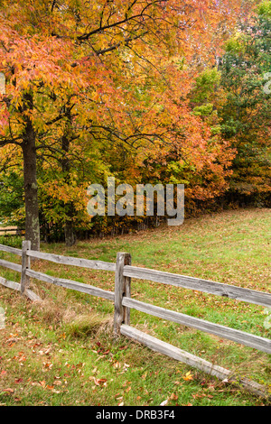 Una rampa di legno recinzione lungo un campo con la caduta di alberi colorati in background. Foto Stock