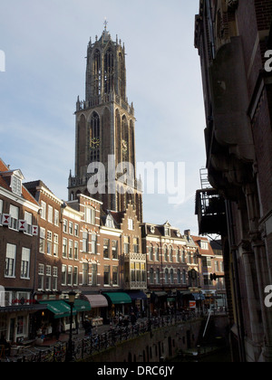 La cattedrale di Domtoren Tower, il campanile più alto nei Paesi Bassi, domina il centro di Utrecht. Foto Stock