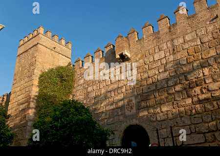 Royal Alcazar-mura, Siviglia, regione dell'Andalusia, Spagna, Europa Foto Stock