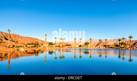 Il lago in Timna parco nazionale in Israele Foto Stock