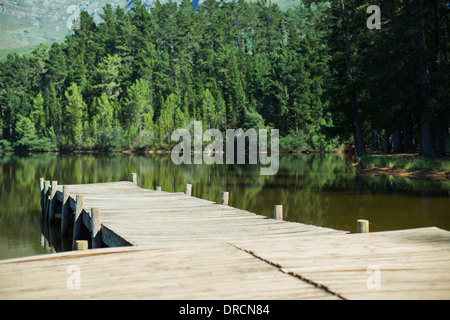 Dock che porta al lago Foto Stock