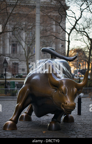 La ricarica Bull scultura in bronzo di Arturo di Modica situato al Bowling Green in Lower Manhattan NYC Foto Stock