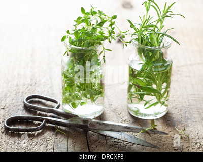 Di timo fresco e rosmarino erbe in vetro Foto Stock