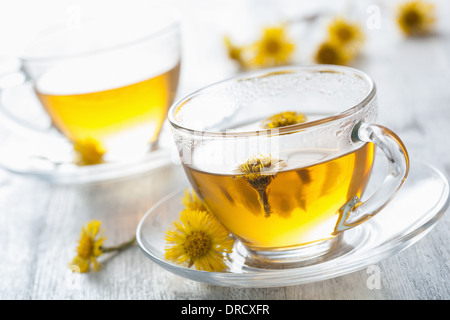Il tè alle erbe con fiori coltsfoot Foto Stock