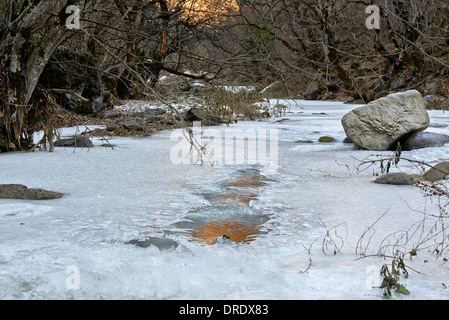 Frozen River in segreto foresta a Samshvilde, Kvemo Kartli, Georgia Foto Stock