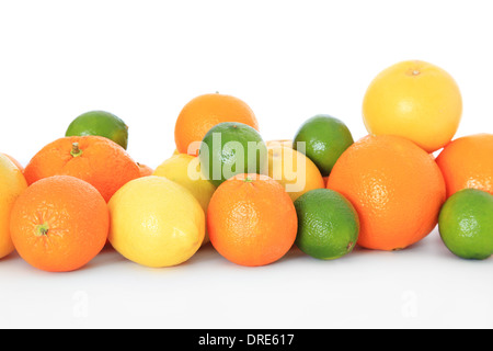 Vari agrumi. Tutto su sfondo bianco Foto Stock