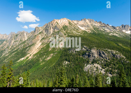 Paesaggio di montagna lungo la North Cascades Highway, Route 20, Washingon Stato, STATI UNITI D'AMERICA Foto Stock