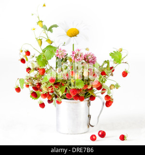 Bouquet di fragole selvatiche su sfondo bianco Foto Stock