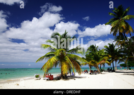 Pigeon Point Heritage Park, Tobago Foto Stock