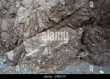 Dettaglio del Devoniano fluviale rocce sedimentarie a Ballydowane Strand, nella costa di rame Geopark, nella contea di Waterford, Irlanda Foto Stock