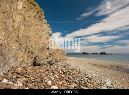 Piegato e deformato marine Ordovician scisti e silstones a Kilfarrasy Beach, rame Coast Geopark, County Waterford Foto Stock