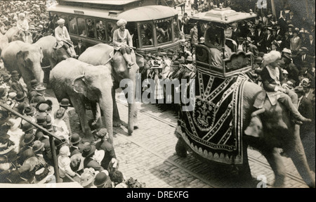 Elefanti del circo in parata - Ringling Circus, Washington DC Foto Stock