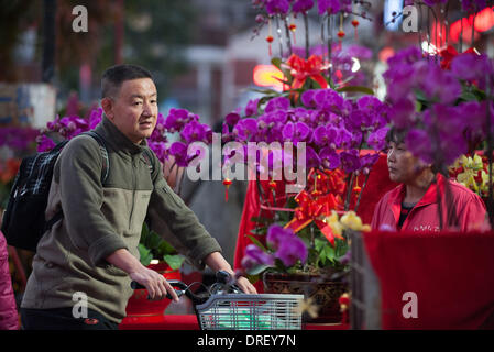 Shenzhen, Cina la provincia di Guangdong. 24 gen 2014. Un uomo sceglie moth orchid in corrispondenza di Futian, il mercato dei fiori a Shenzhen, Cina del sud della provincia di Guangdong, Gennaio 24, 2014. Con la venuta del Festival di Primavera, molti fiori con implicazioni propizio divenne molto popolare tra i clienti. © Mao Siqian/Xinhua/Alamy Live News Foto Stock