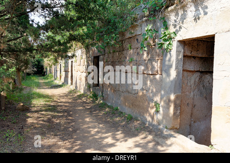 A forma di cubo di tombe che assomigliano a righe case terrazza a Cerveteri etrusca necropoli Banditaccia in Italia centrale questi Foto Stock