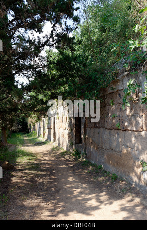 A forma di cubo di tombe che assomigliano a righe case terrazza a Cerveteri etrusca necropoli Banditaccia in Italia centrale questi Foto Stock