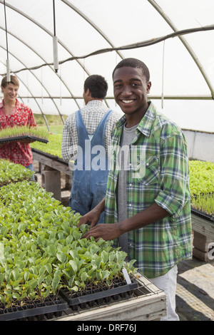 Maryland usa tre ragazzi adolescenti che lavorano in serra di grandi dimensioni Foto Stock