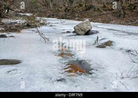 Frozen River in segreto foresta a Samshvilde, Kvemo Kartli, Georgia Foto Stock