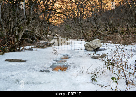 Frozen River in segreto foresta a Samshvilde, Kvemo Kartli, Georgia Foto Stock